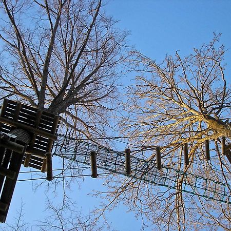Kempings Ozolkalns Cēsis Екстериор снимка